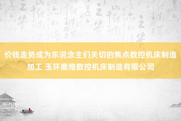 价钱走势成为东说念主们关切的焦点数控机床制造加工 玉环鹿维数控机床制造有限公司
